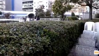 男阳茎进女阳道全过程男在线观看[DODER] DNAハンター...